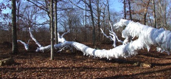 i- Park Connecticut